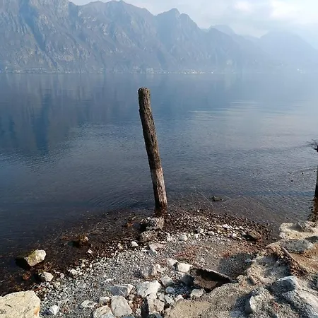 Patty Zu - Lakeside *